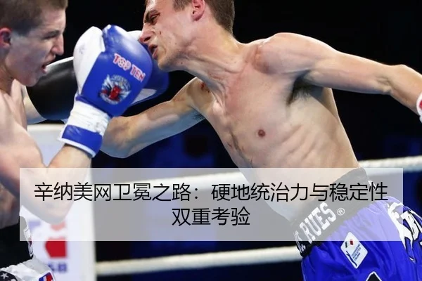 xin-na-mei-wang-wei-mian-zhi-lu-ying-di-tong-zhi-li-yu-wen-ding-xing-shuang-chong-kao-yan-1-623.jpg